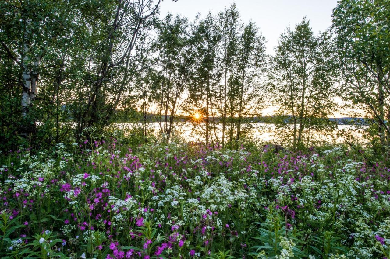 Hotel Ice Jukkasjärvi